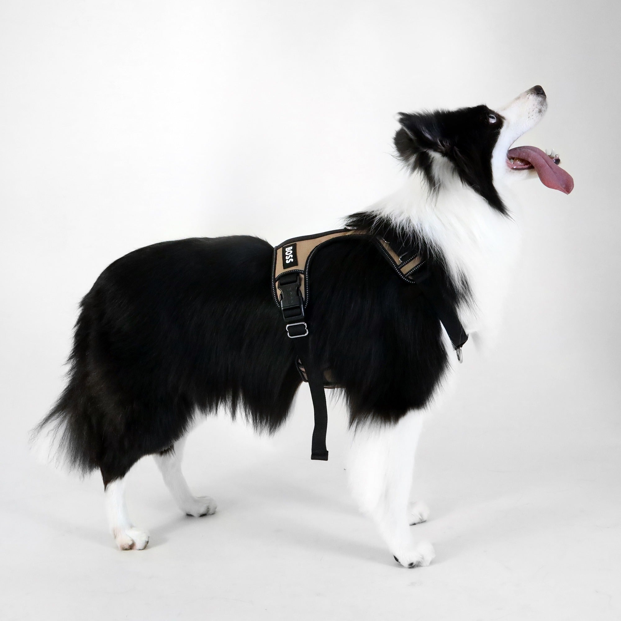 Dog Essentials Harness