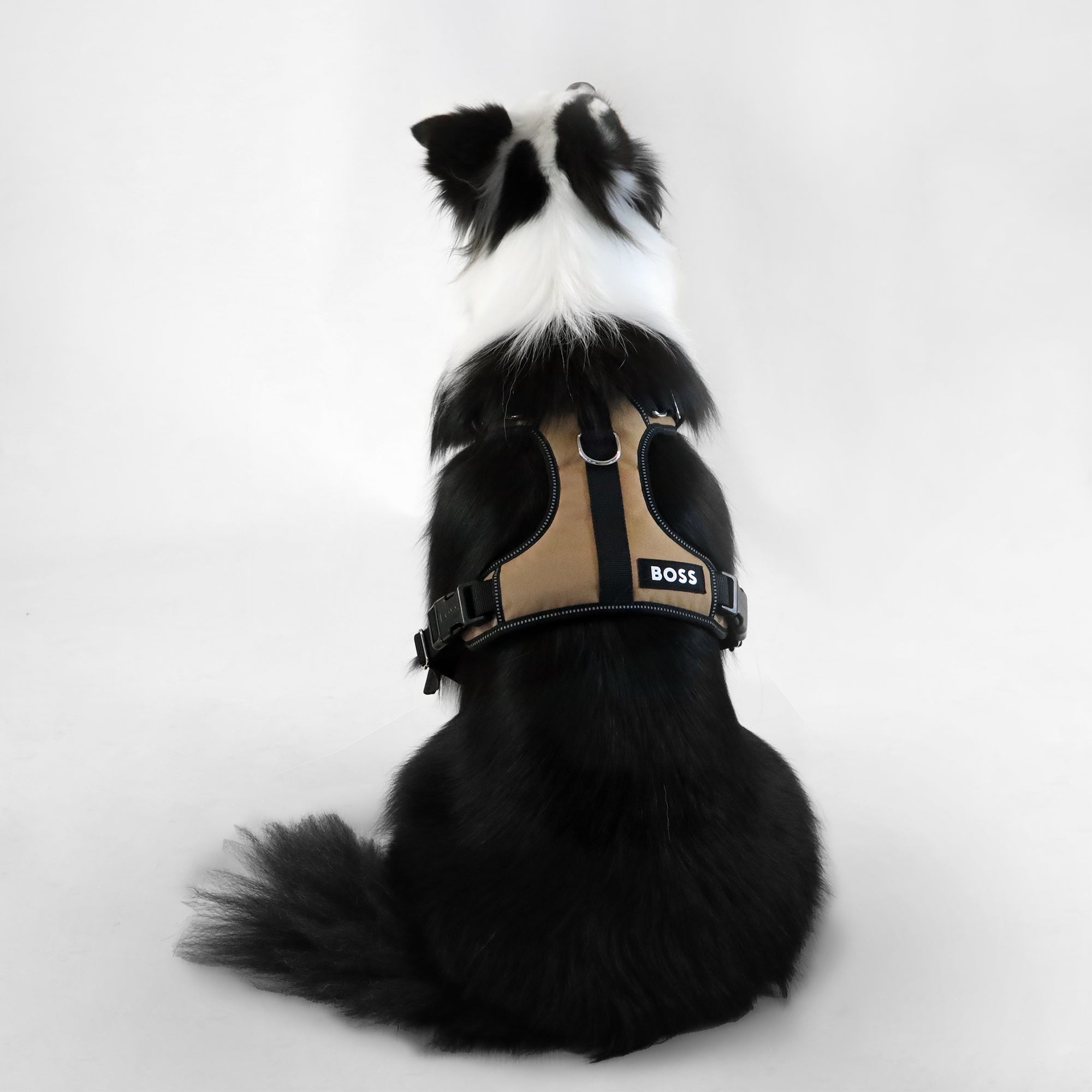 Dog Essentials Harness