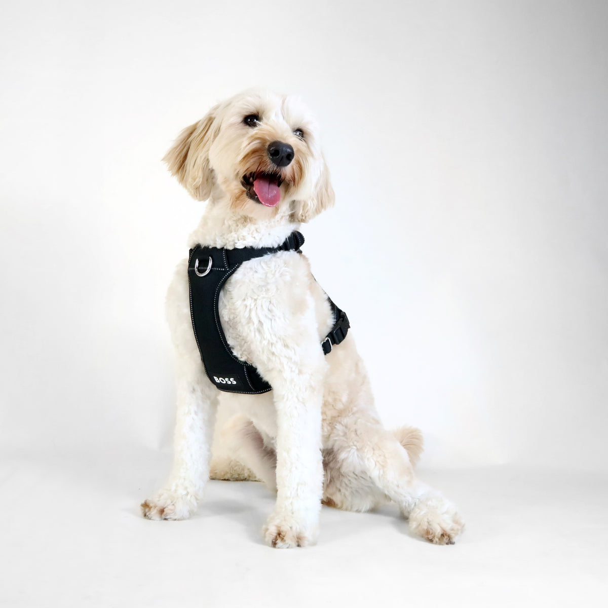 Dog Essentials Harness