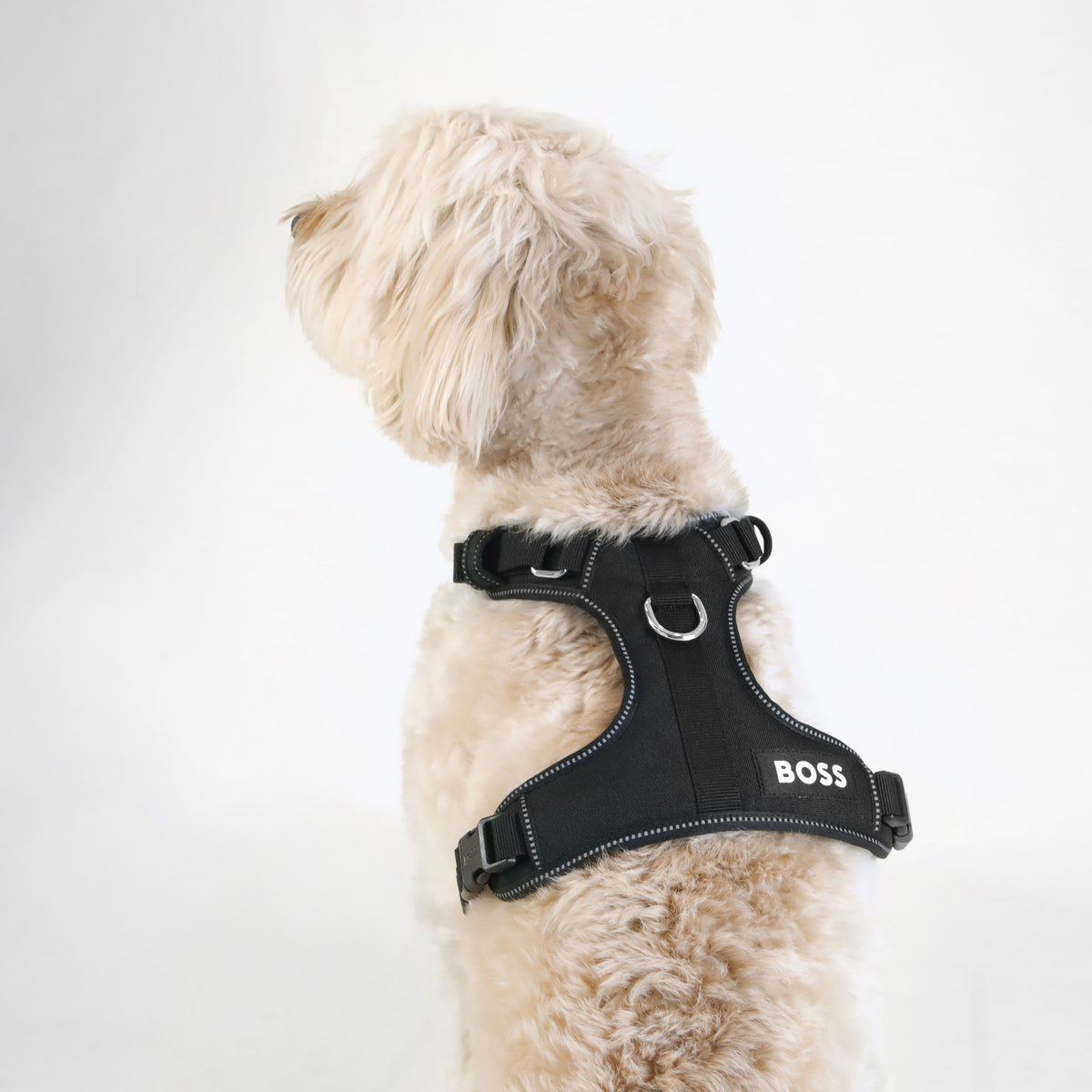 Dog Essentials Harness