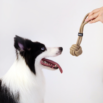 BOSS Dog Rope Ball Toy