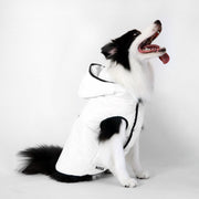 Dog Essentials Vest