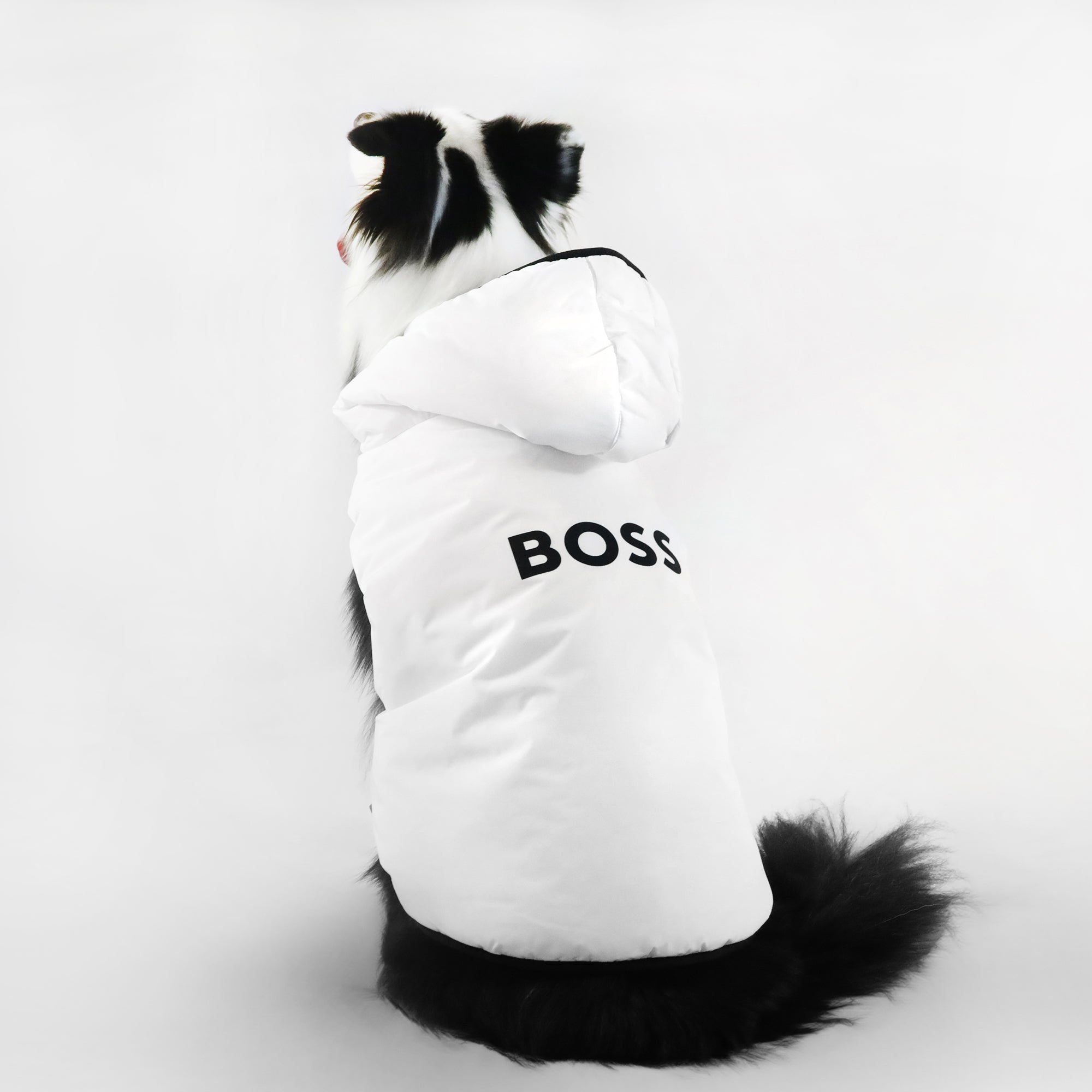 Dog Essentials Vest