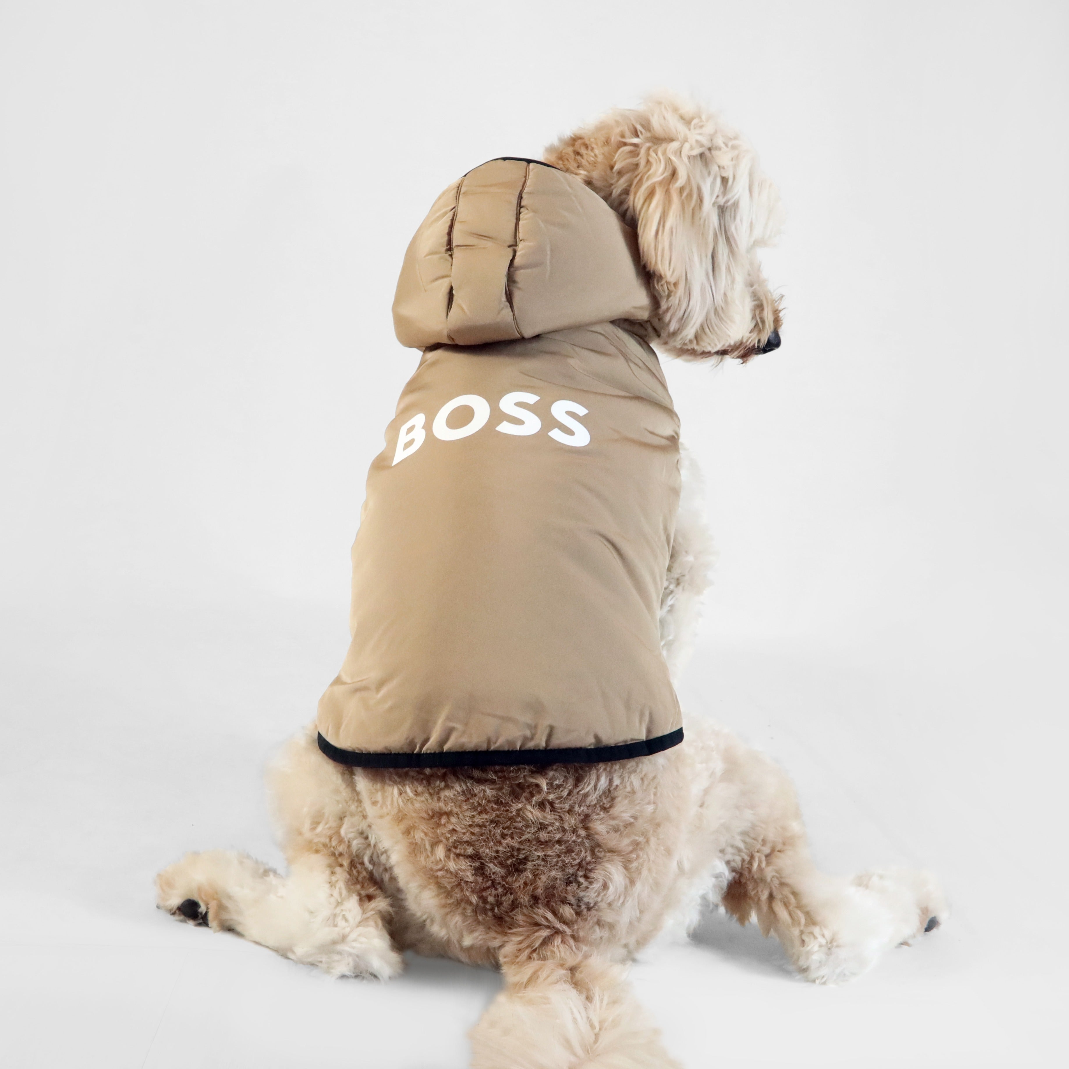 Dog Essentials Vest