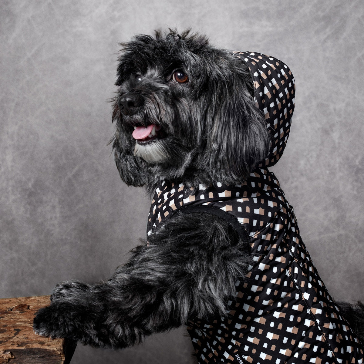 Dog Padded Vest
