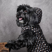 Dog Padded Vest