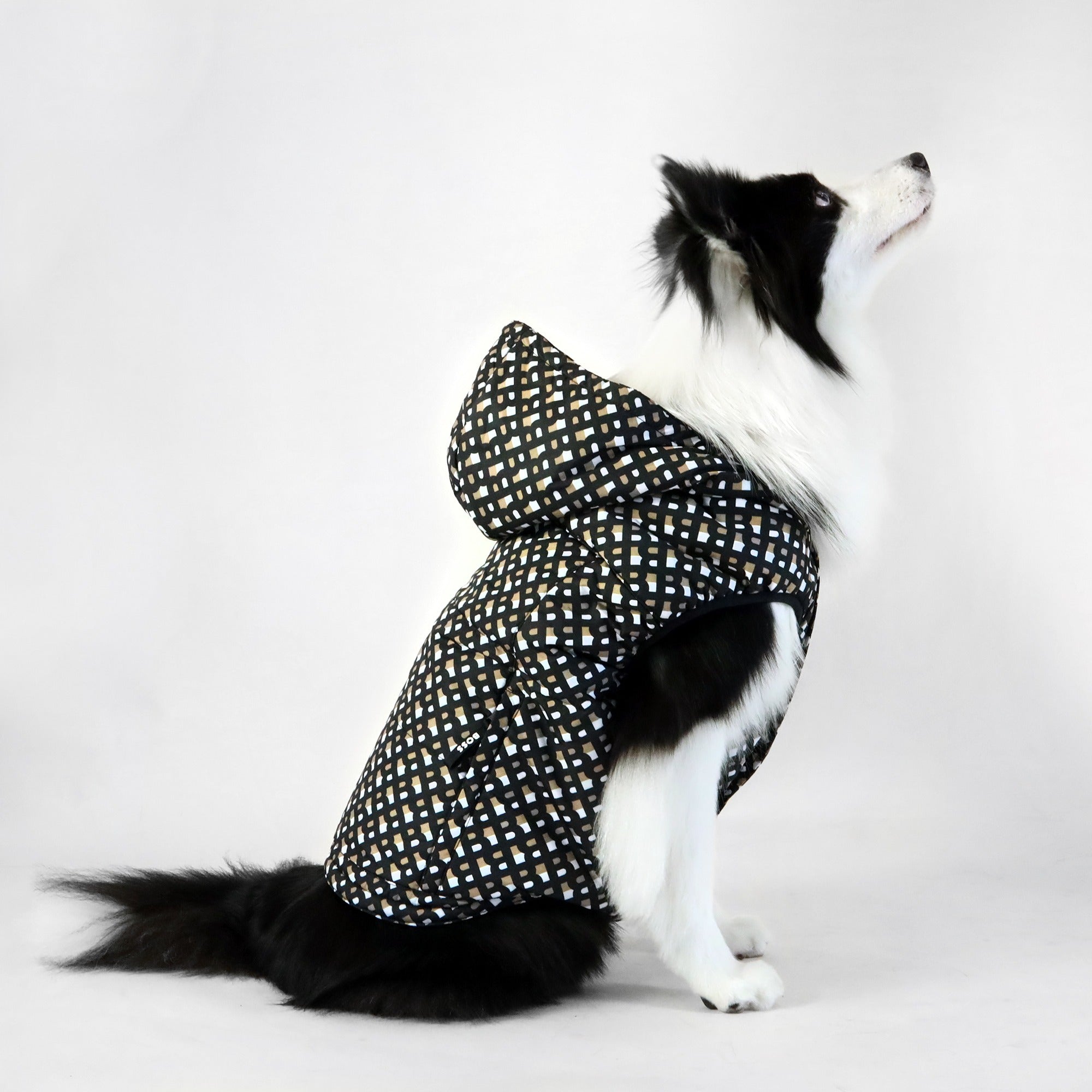 Dog Padded Vest