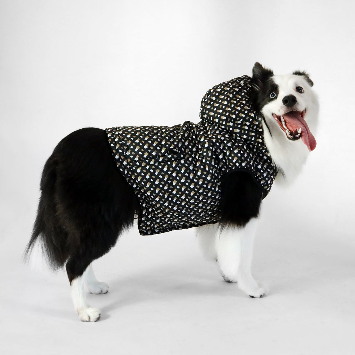 Dog Padded Vest