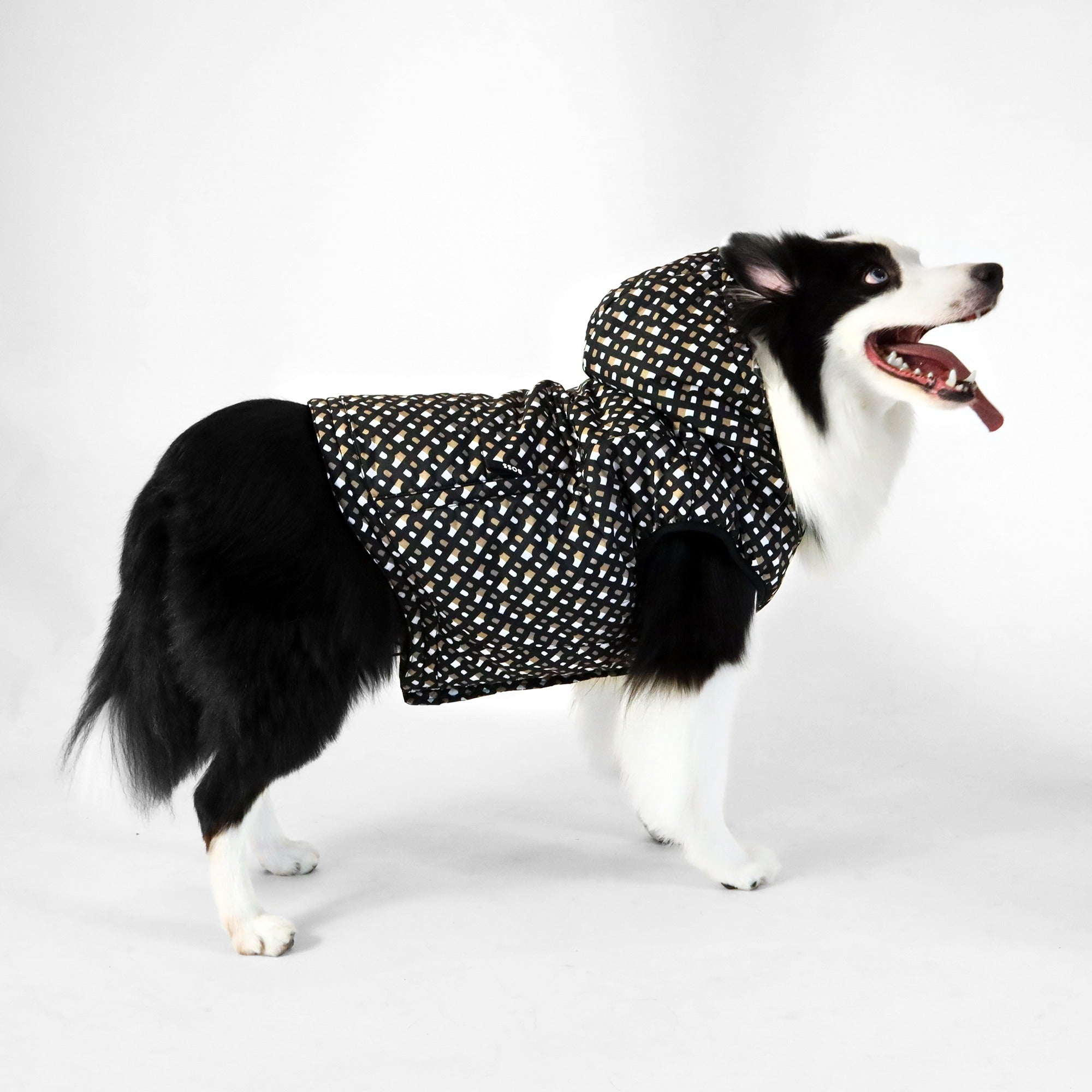Dog Padded Vest