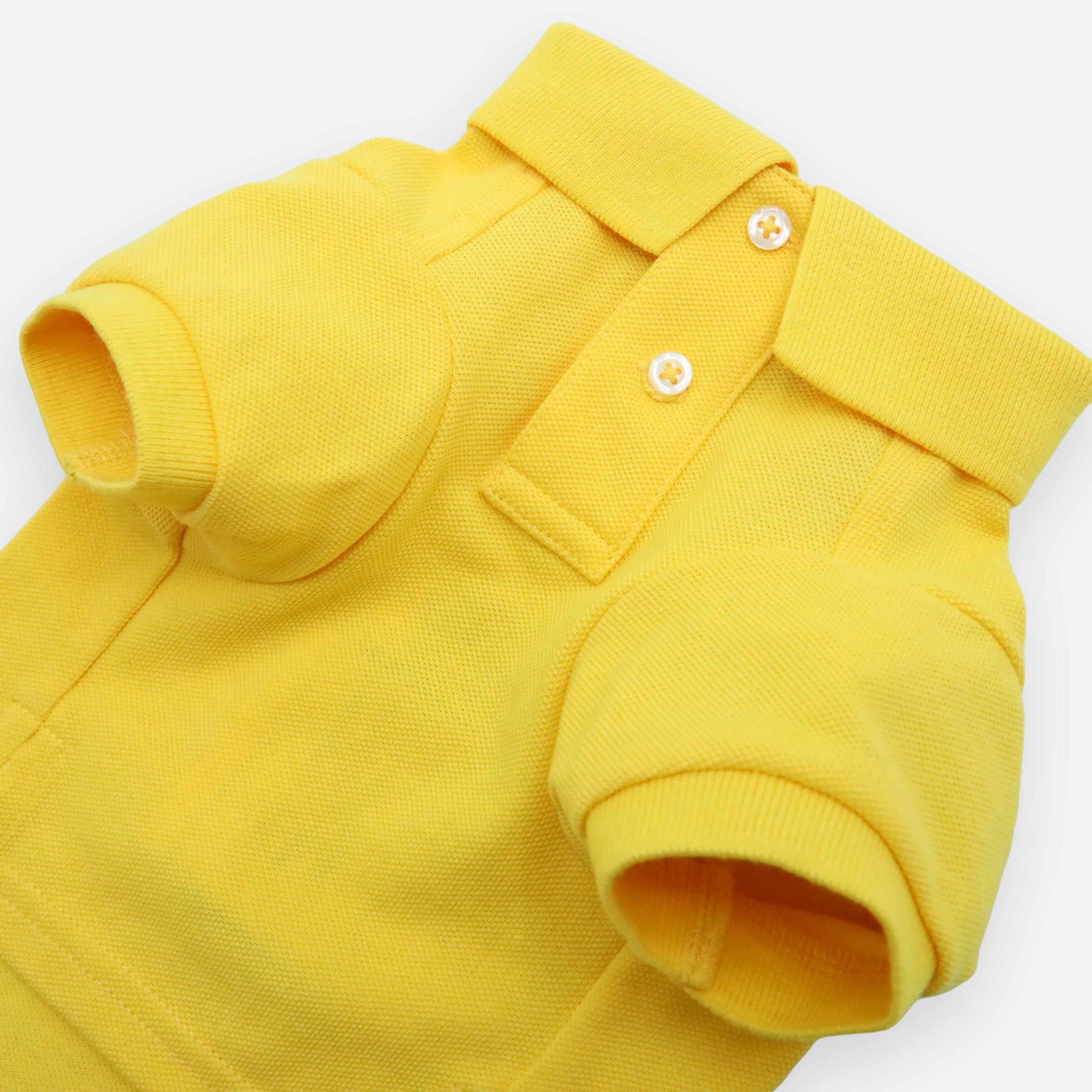 Polo Ralph Lauren Dogs-Polo Bear Shirt