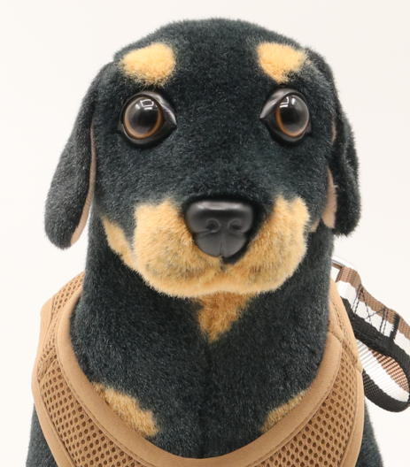 Kanine Stuffed Dog Mannequin