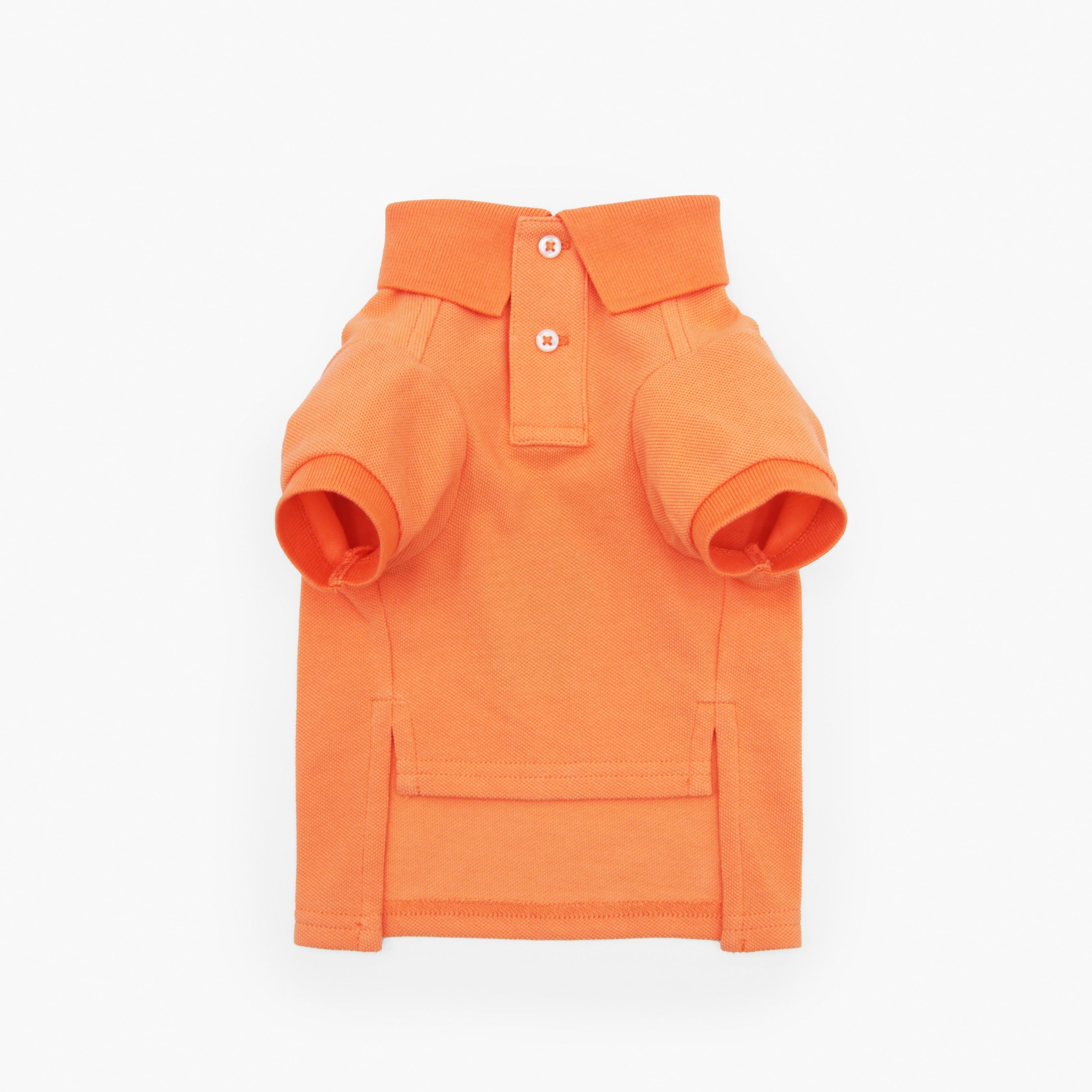 Polo Ralph Lauren Dogs-Polo Bear Shirt