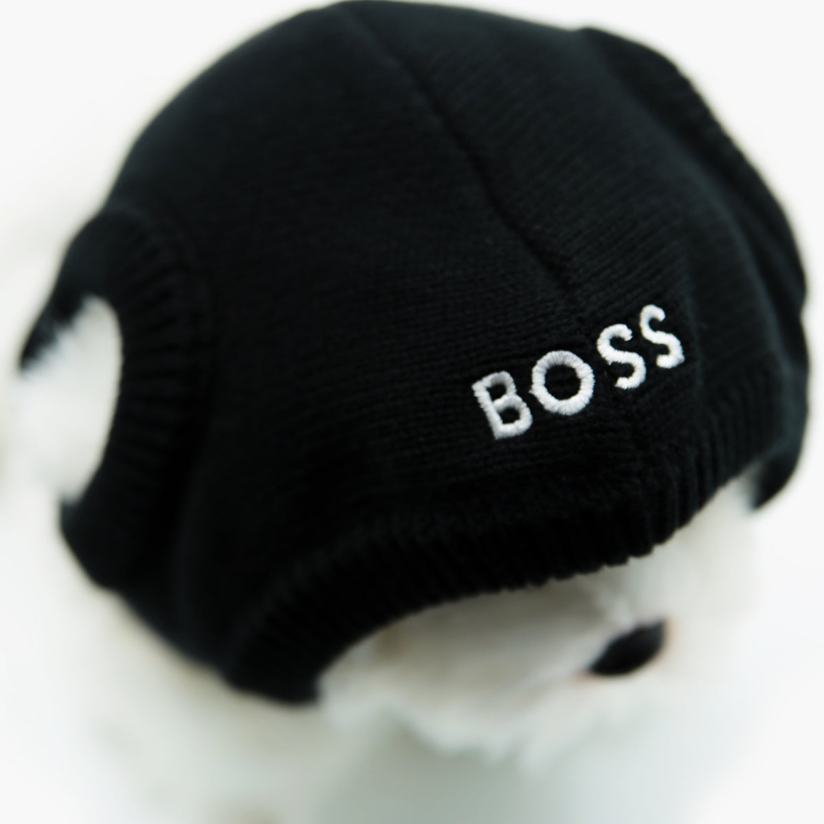 Dog Knitted Hat