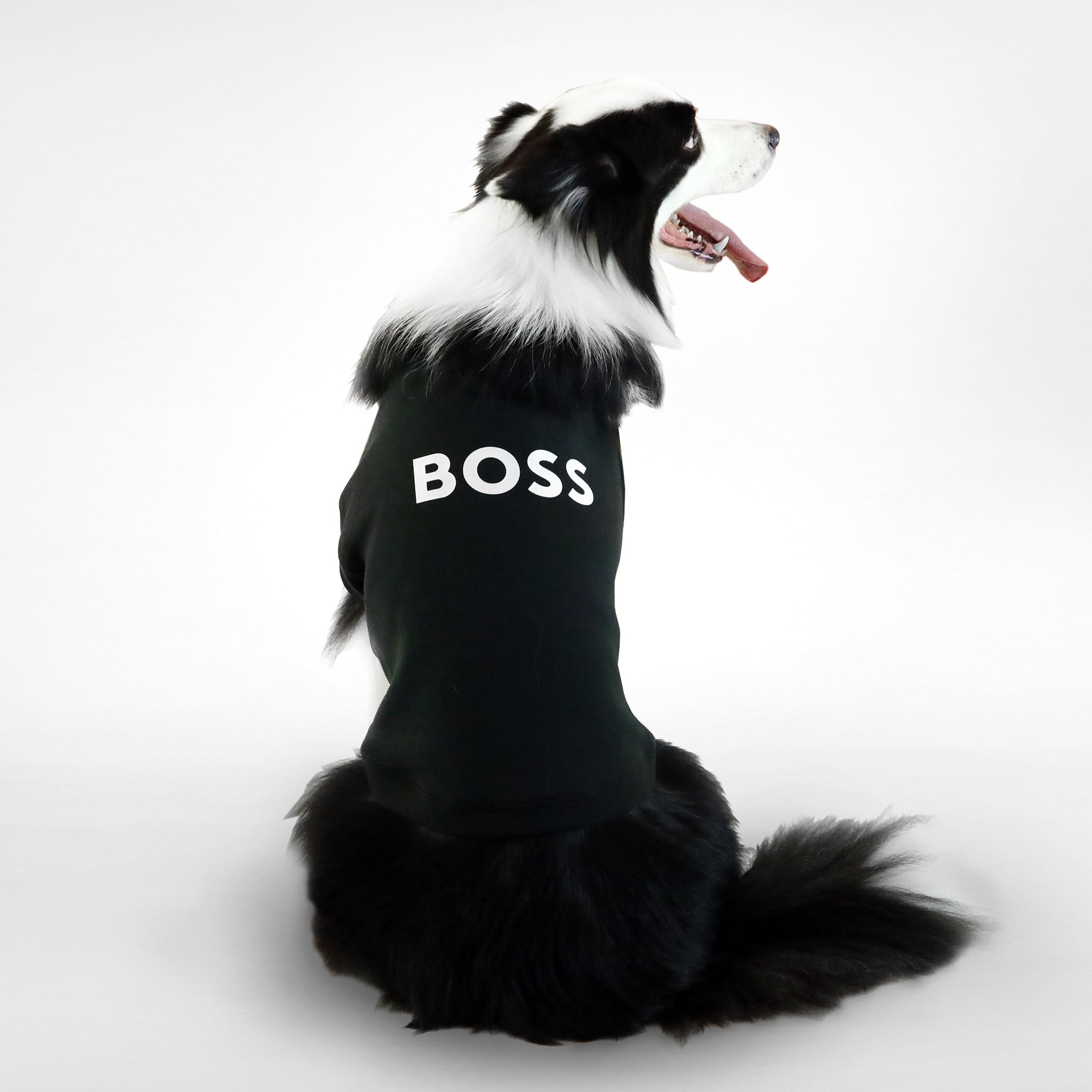 Dog Essentials Short Sleeve Crewneck
