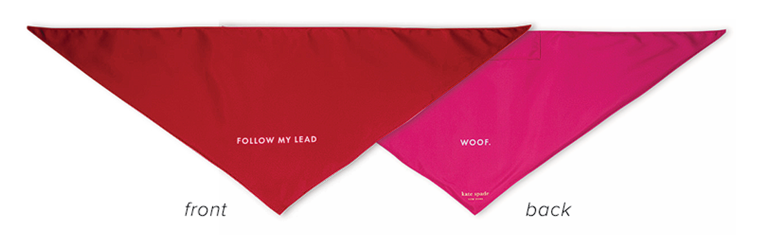 Colorblock Bandana