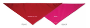 Colorblock Bandana