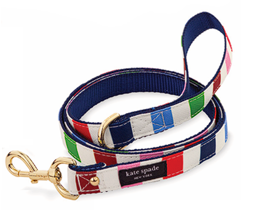 Adventure Stripe Leash