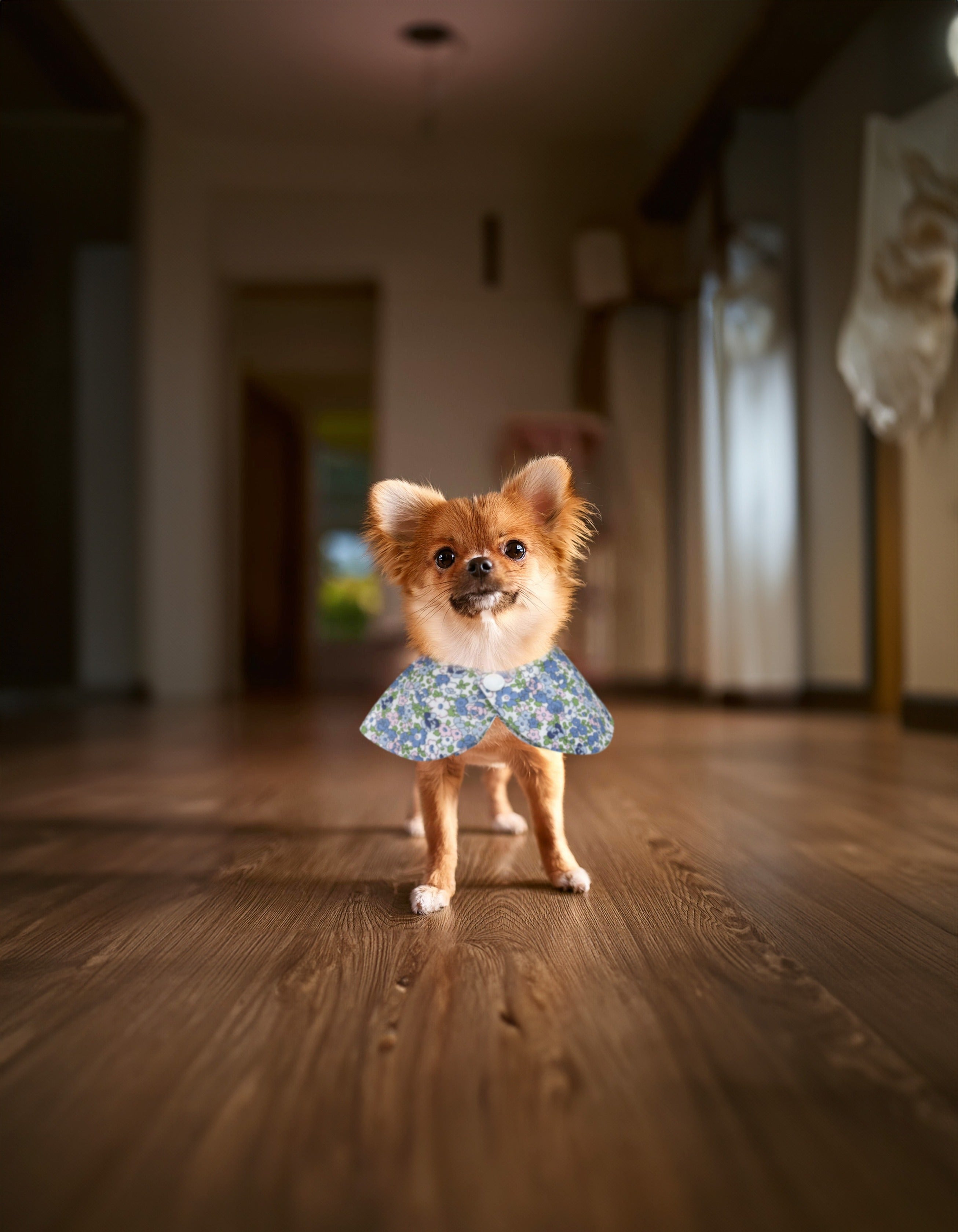 Dog Button Floral Bib