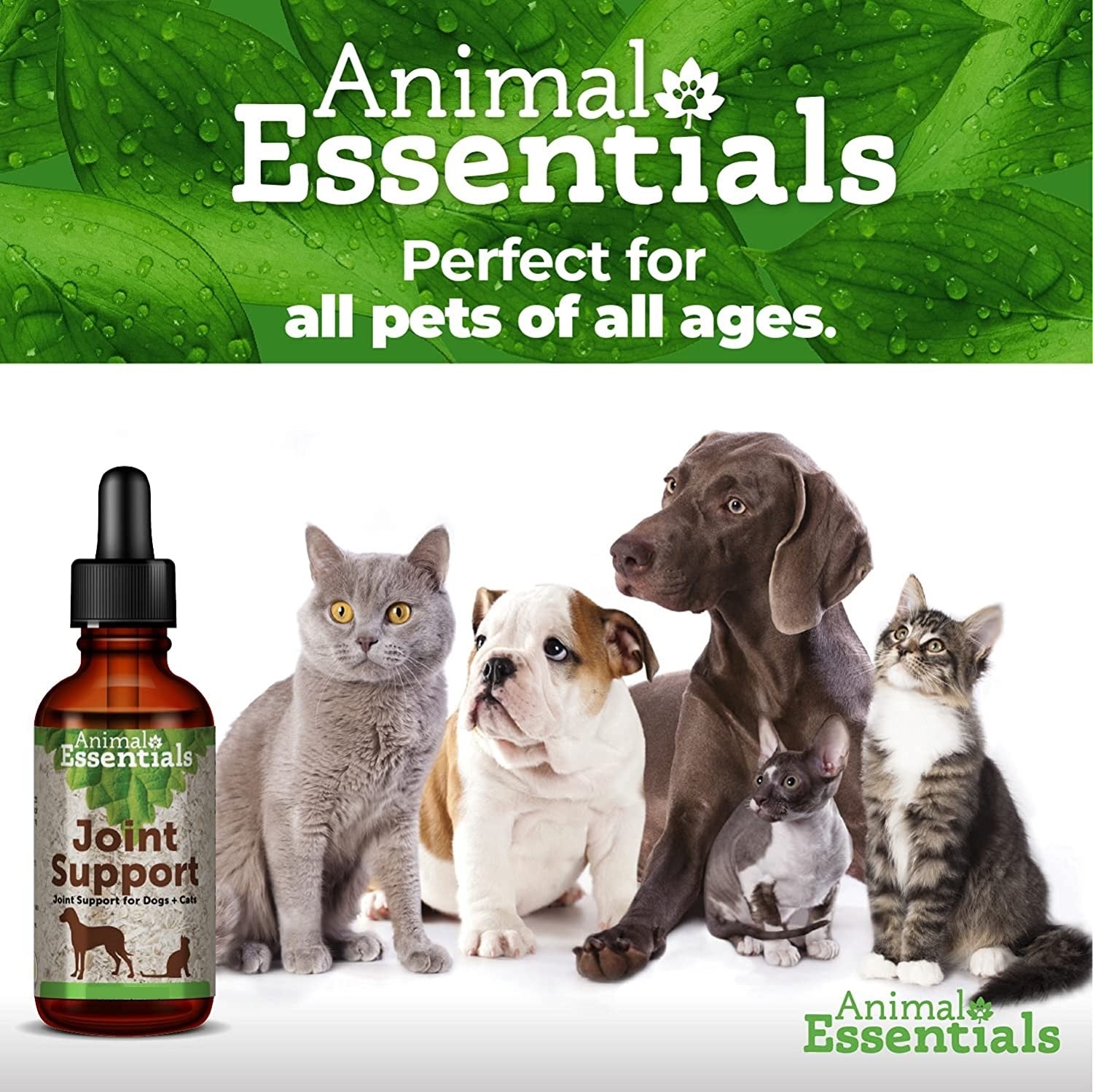 Animal Essentials - Joint Support (Alfalfa / Yucca Blend) 治療養生草本系列 - 關節治療保養配方 2oz