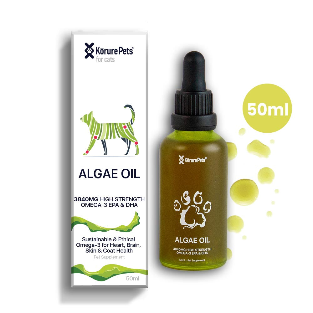 Kōrure Pets - 貓用新西蘭海藻油(Algae Oil) 50ml