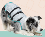 Dog DRY Evaporative Cooling Vest
