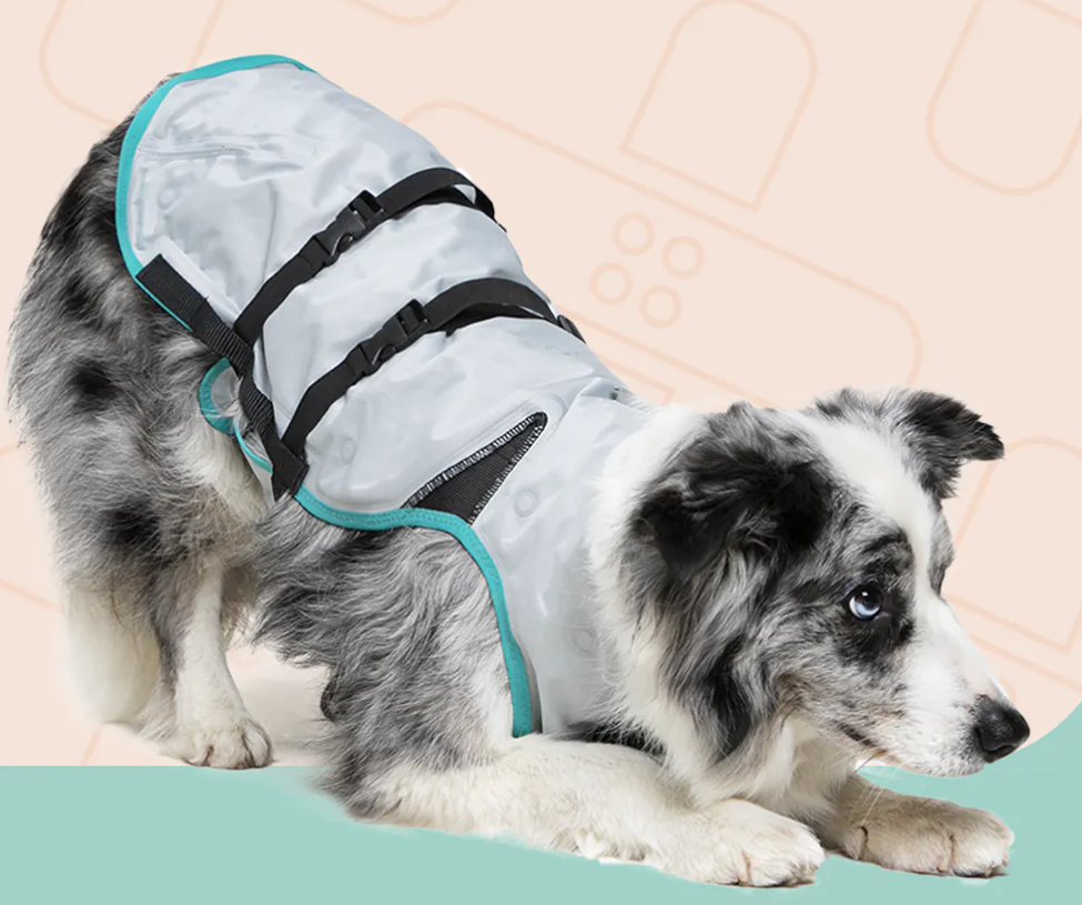 Dog DRY Evaporative Cooling Vest