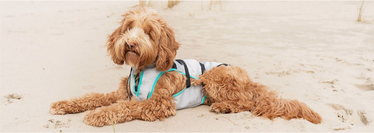 Dog DRY Evaporative Cooling Vest