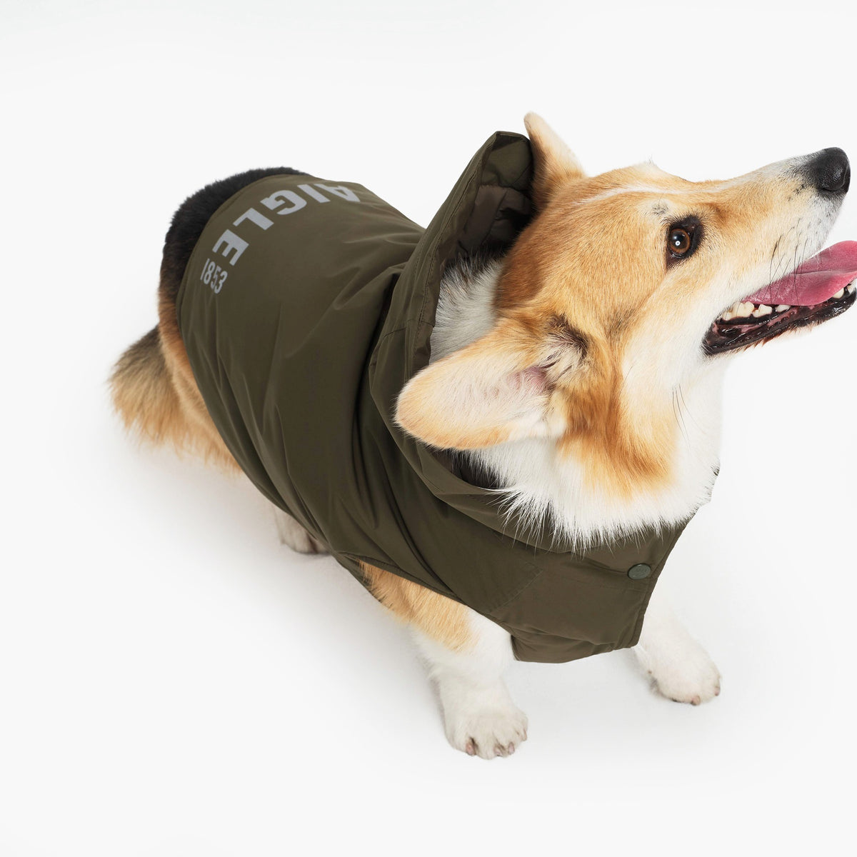 Pet RainPack Warm