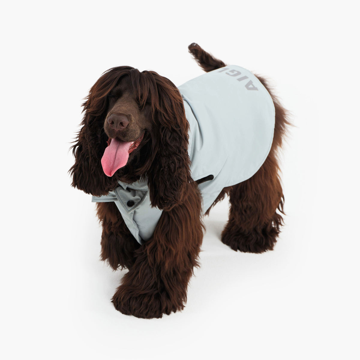 Pet RainPack Warm