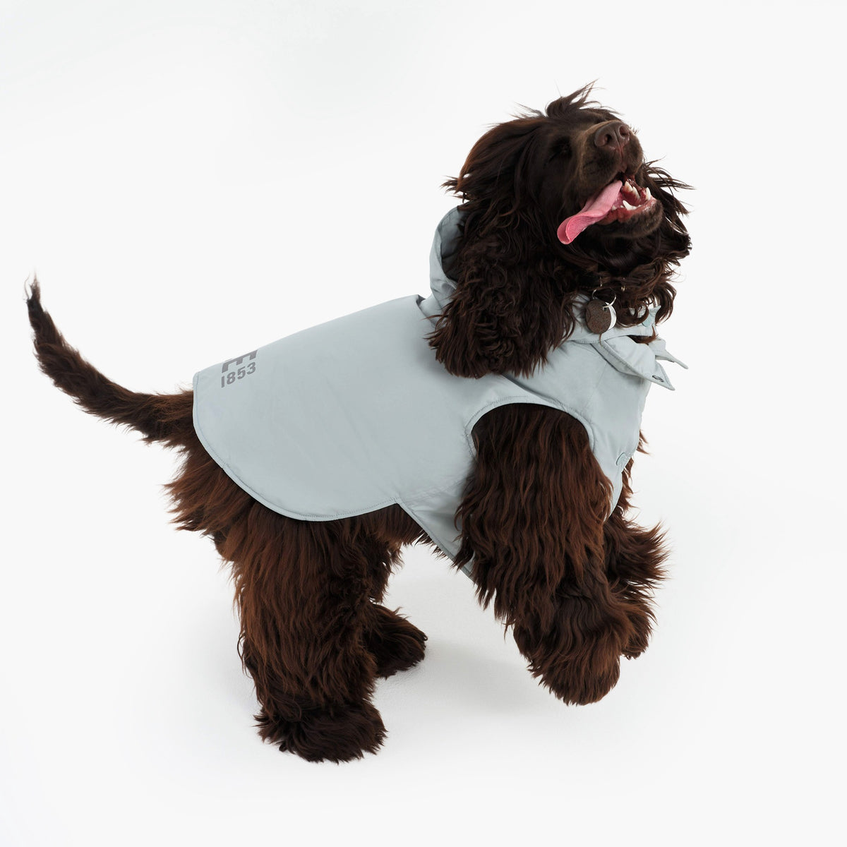 Pet RainPack Warm
