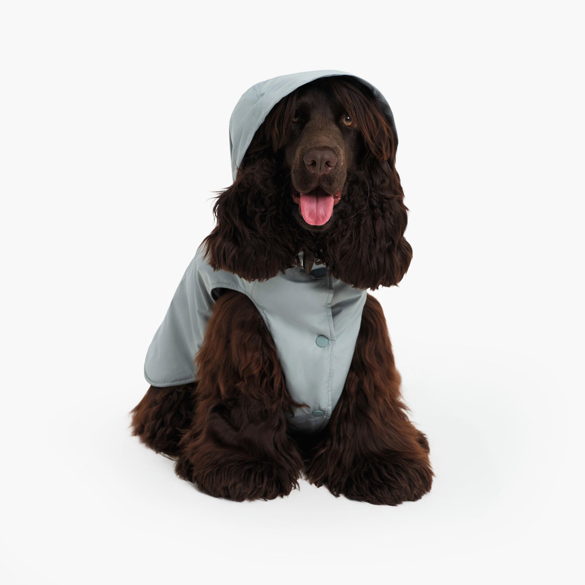 Pet RainPack Warm