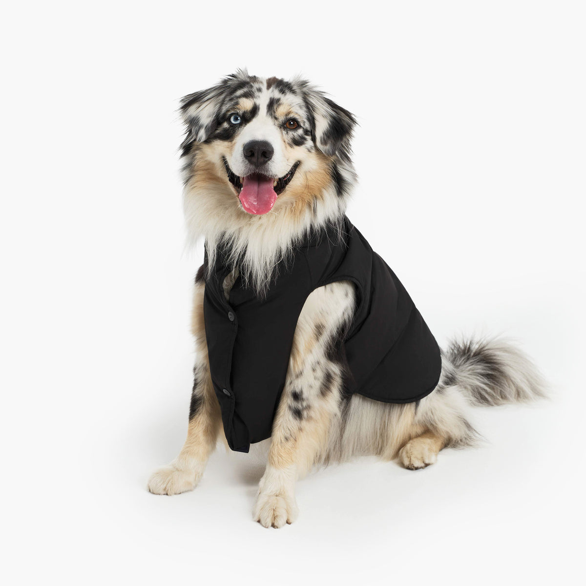 Pet RainPack Warm