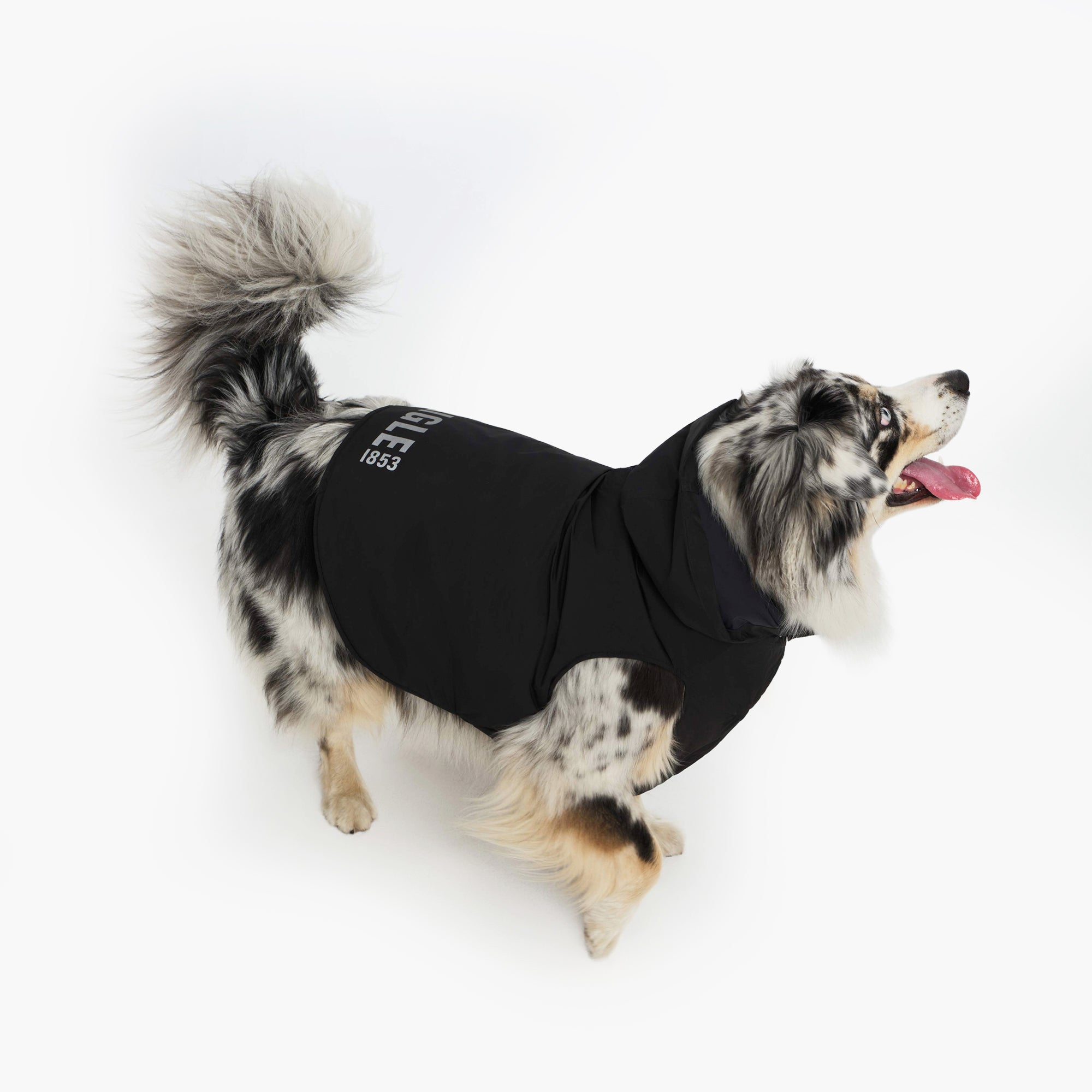 Pet RainPack Warm