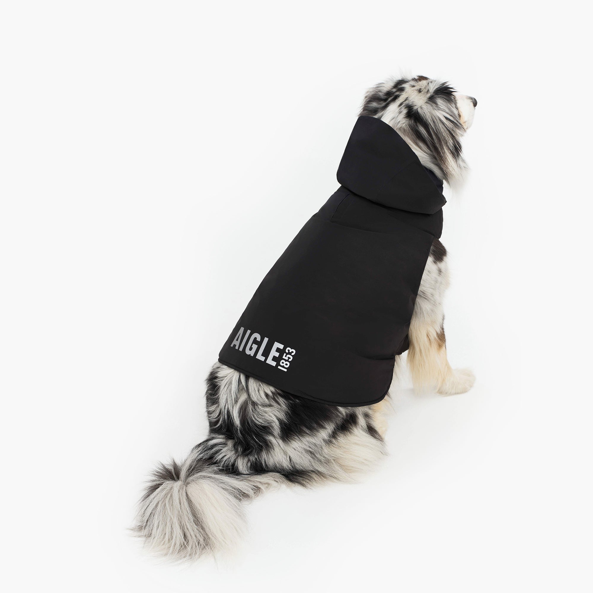 Pet RainPack Warm