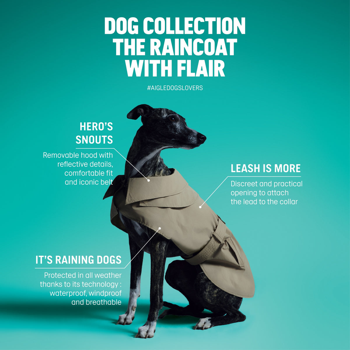 Pet Trench Coat