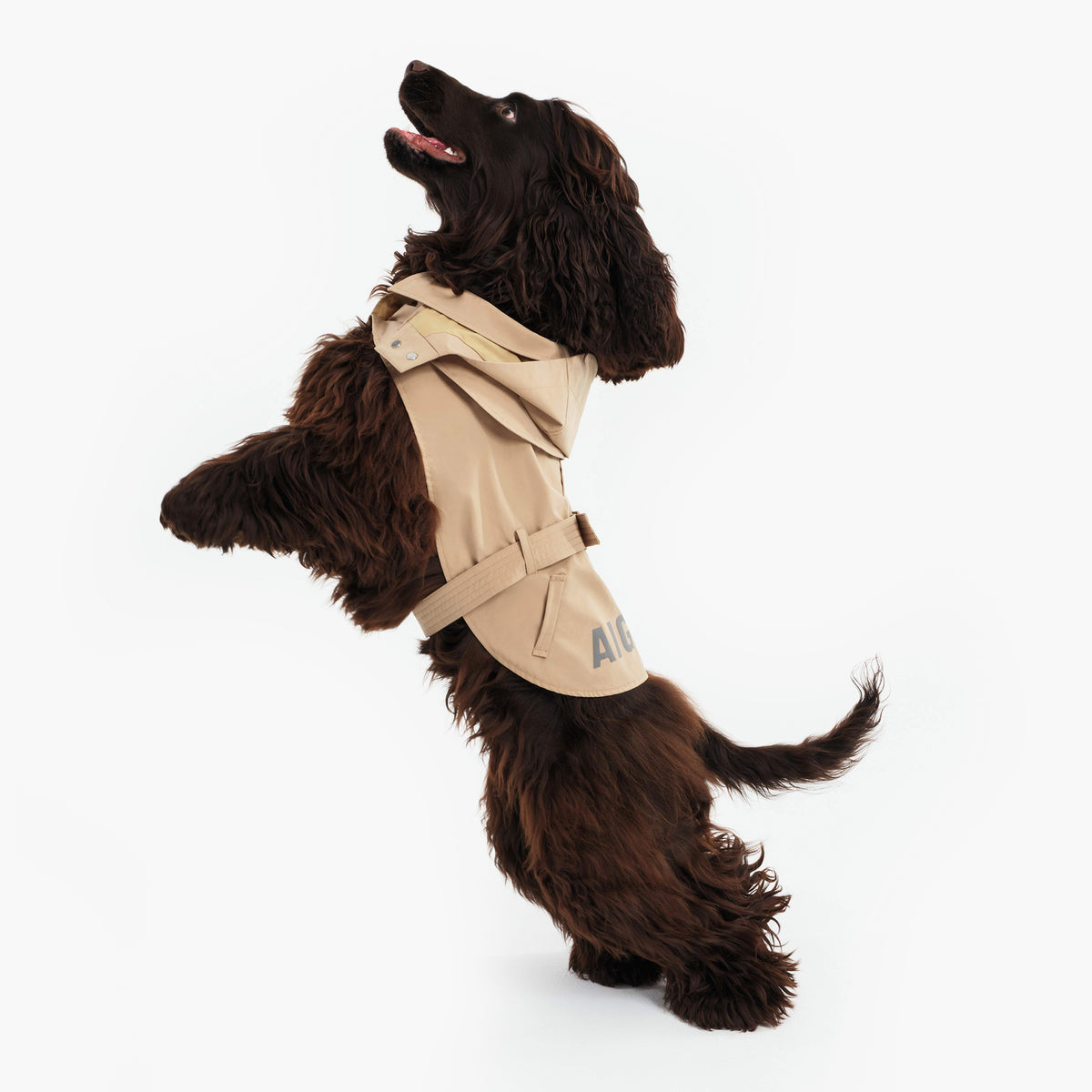 Pet Trench Coat