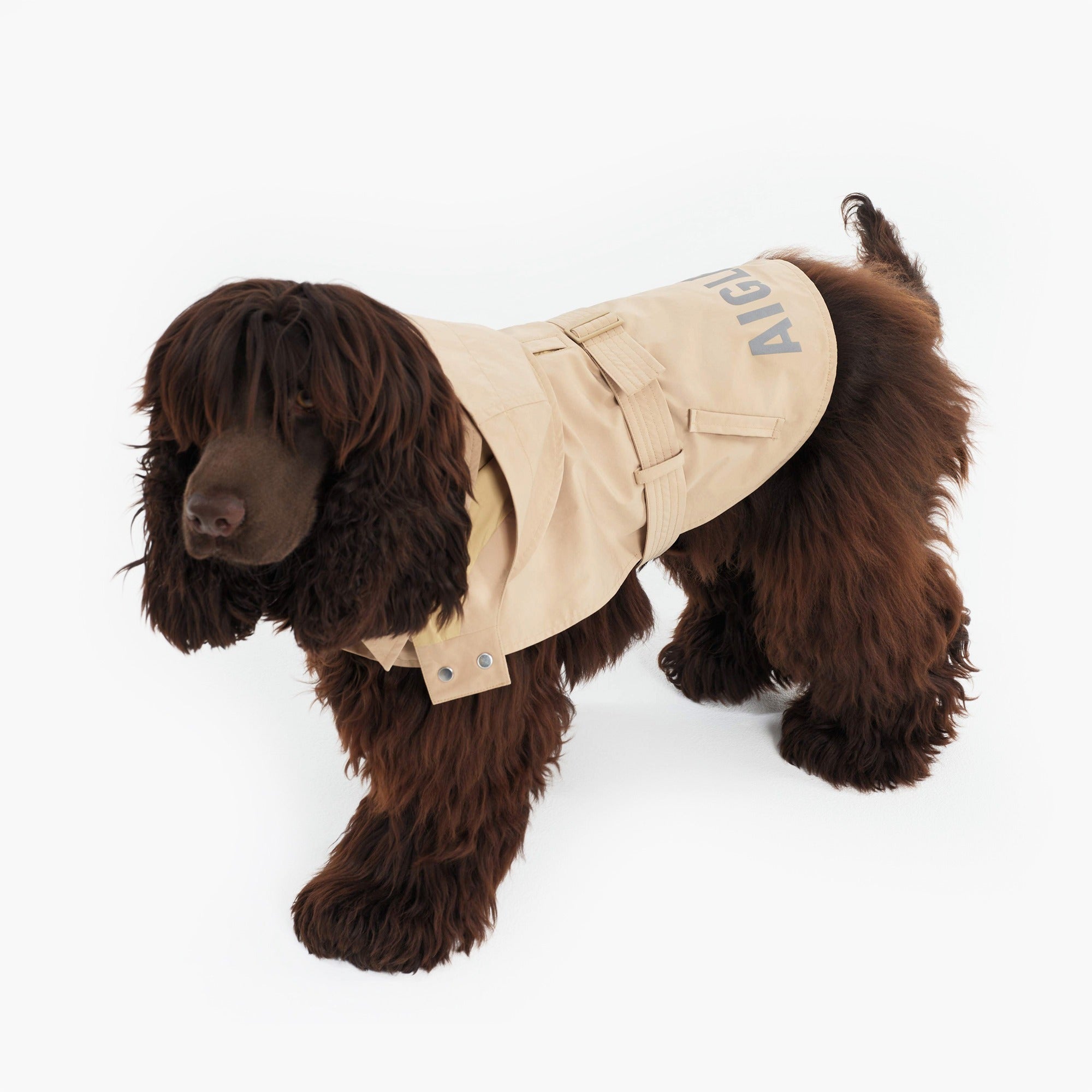 Pet Trench Coat