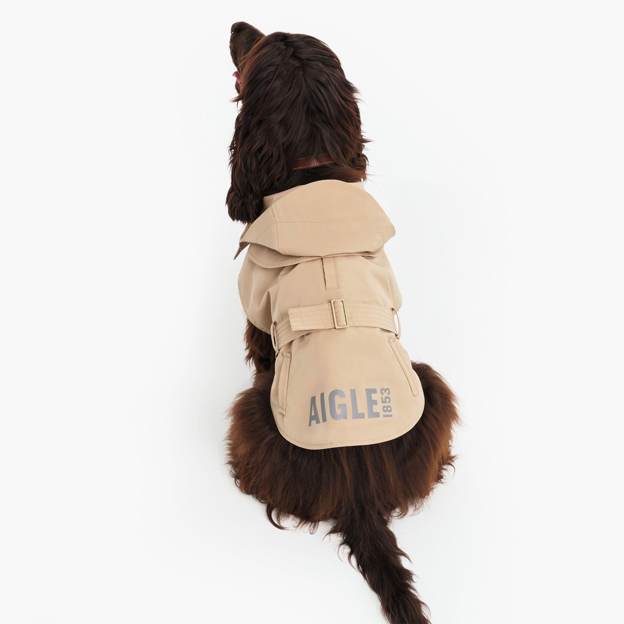 Pet Trench Coat