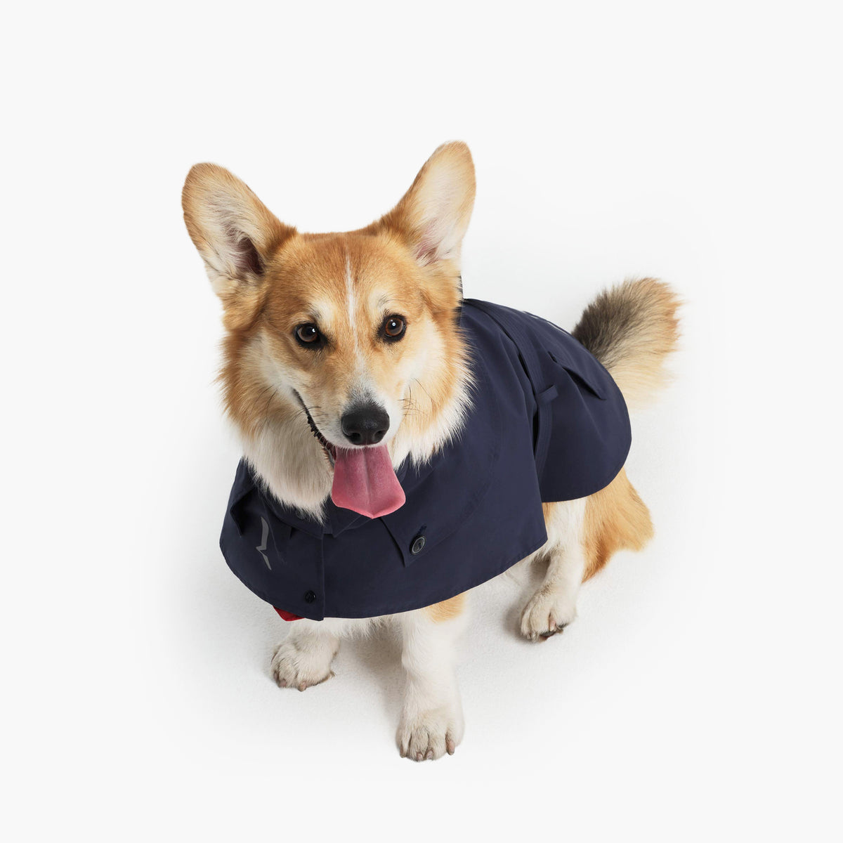 Pet Trench Coat