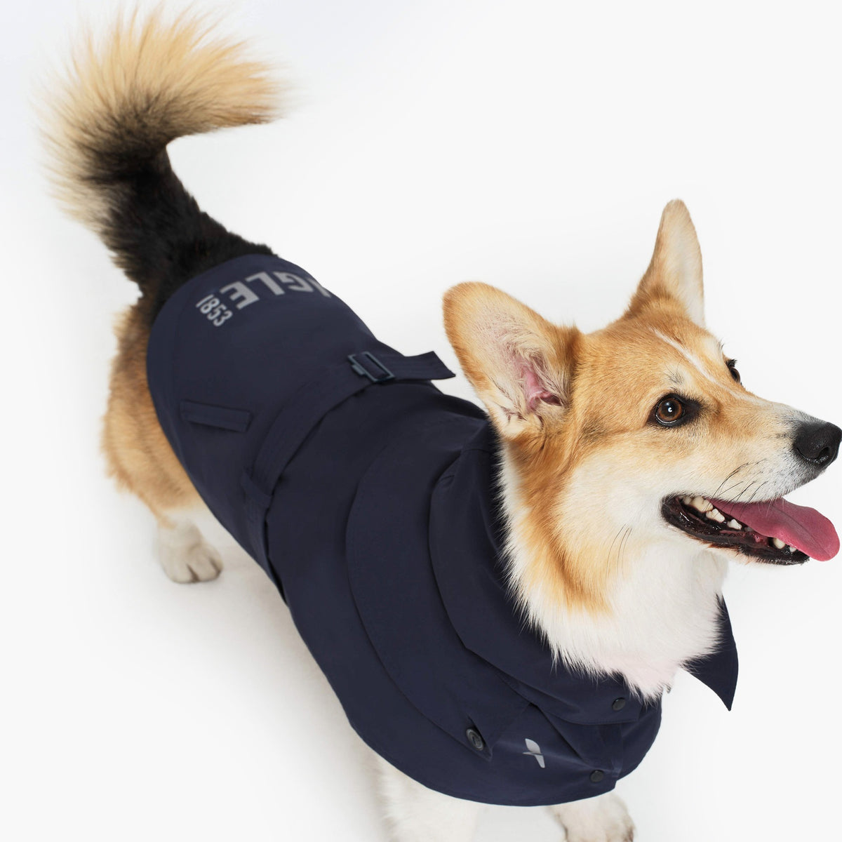 Pet Trench Coat
