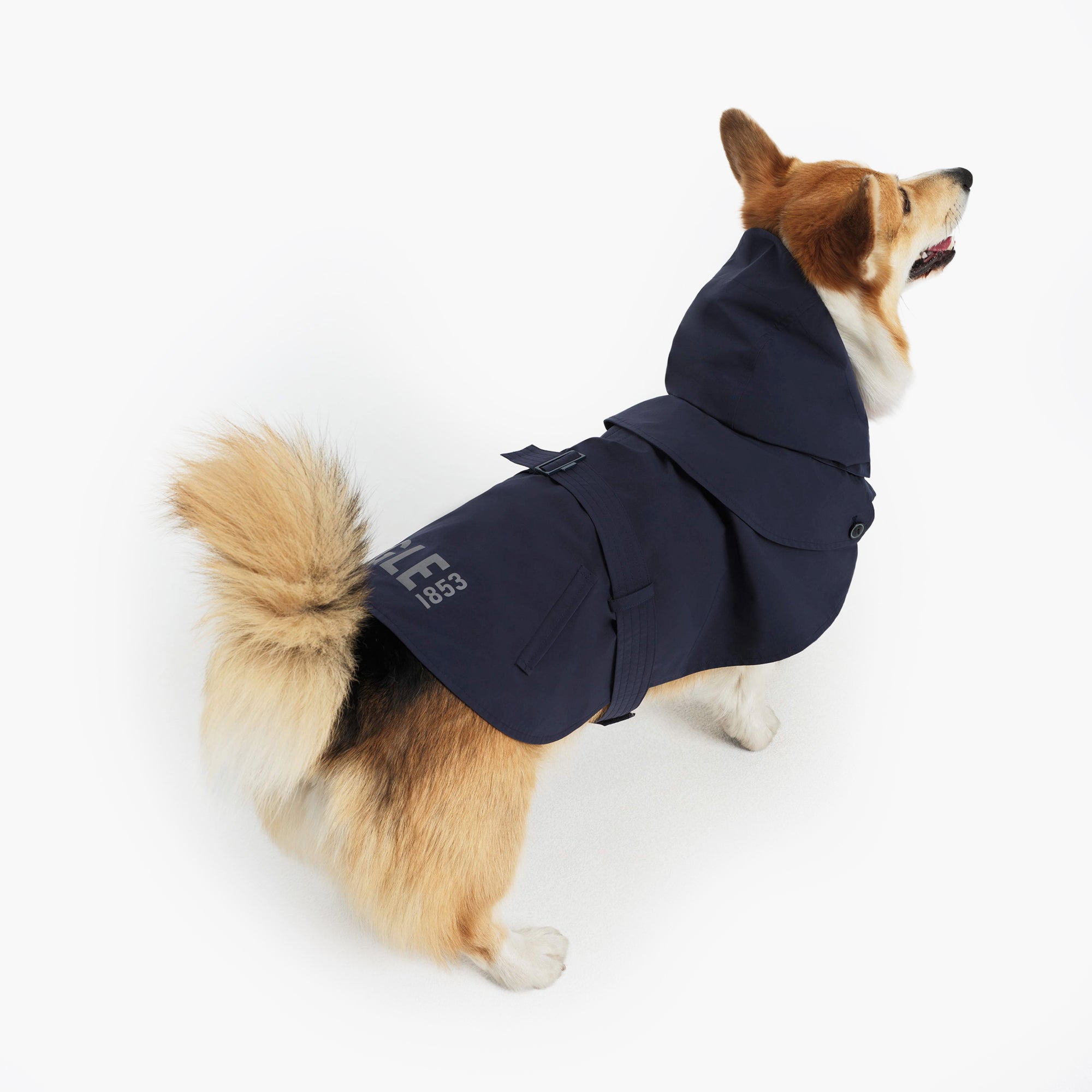 Pet Trench Coat