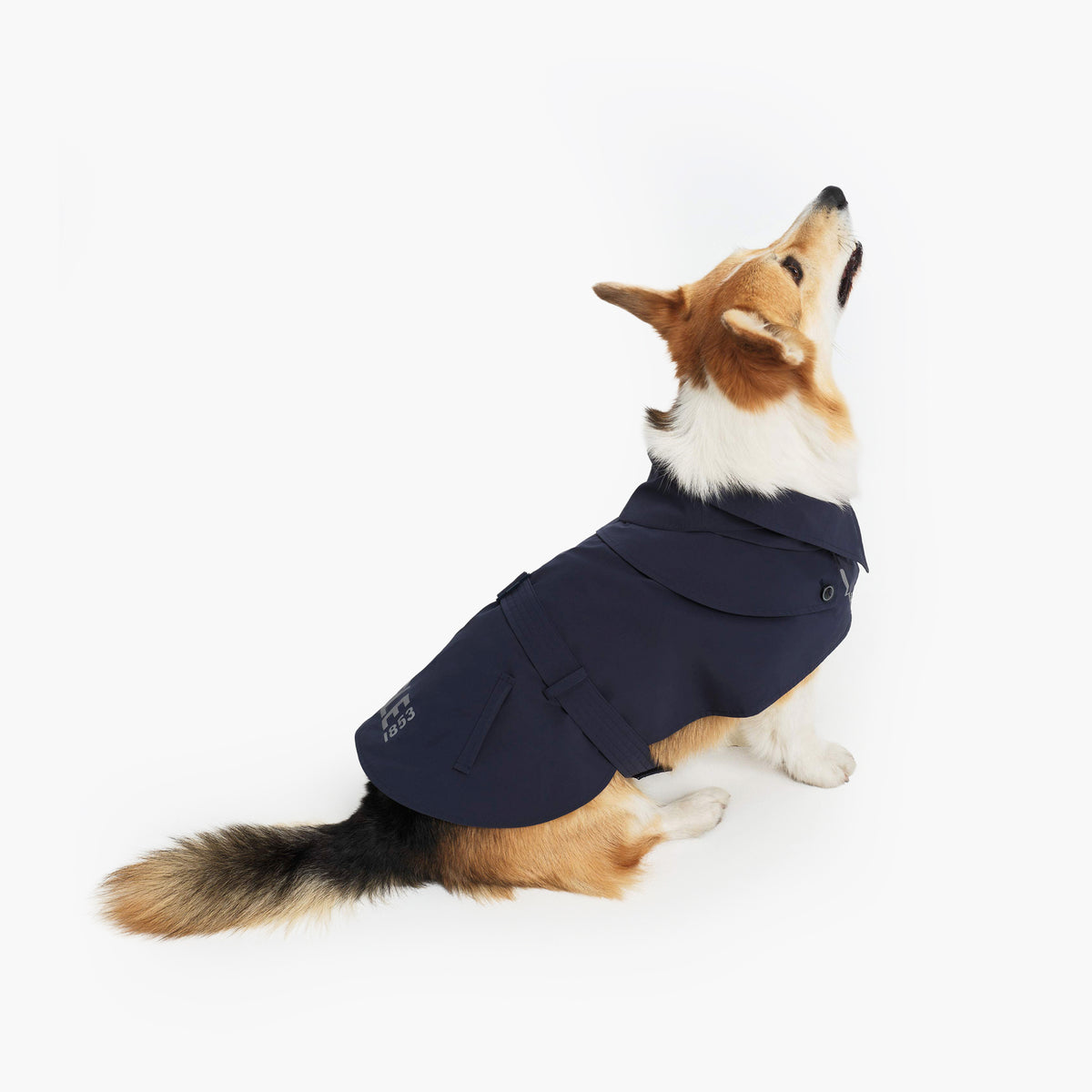 Pet Trench Coat