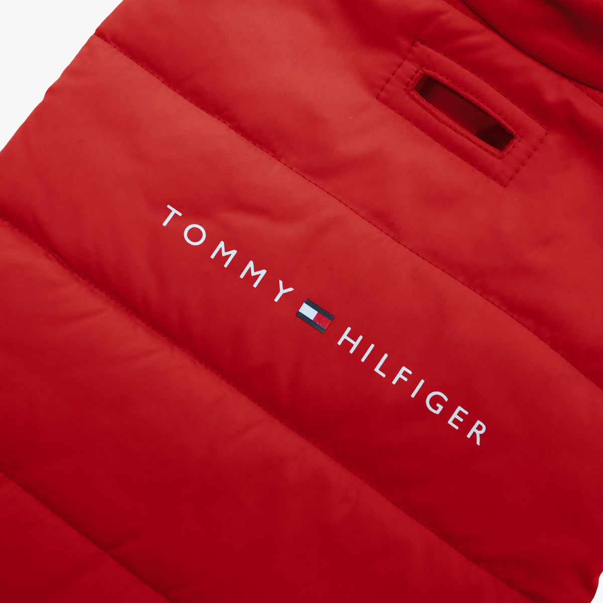 Tommy Hilfiger Dog Logo Print Padding Jacket