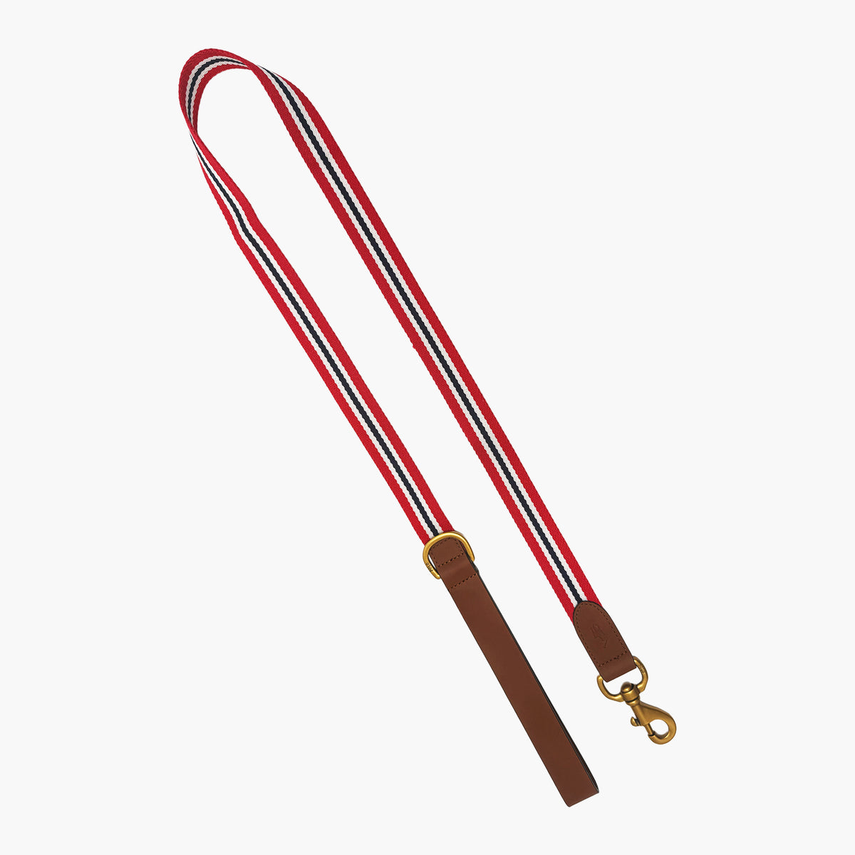 Dog Stripe Leather Leash