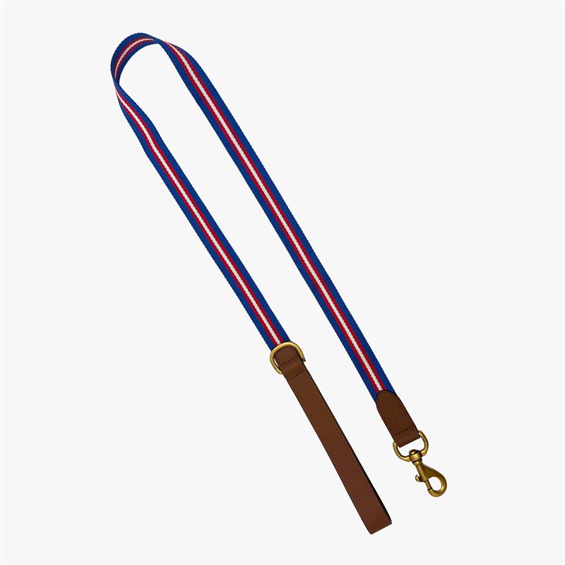 Dog Stripe Leather Leash