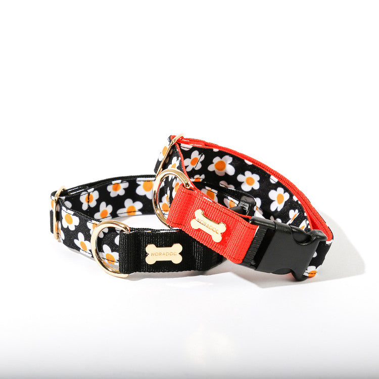 NORADOG Daisy Collar