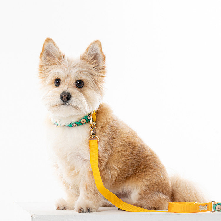 NORADOG Scottie Friends Collar