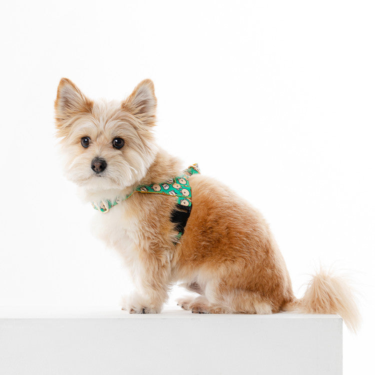 NORADOG Scottie Friends Easy Harness