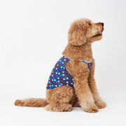 NORADOG WooZoo Cool Wear