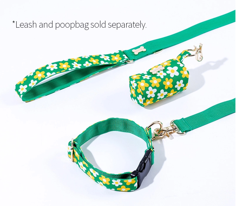 NORADOG Picnic Collar
